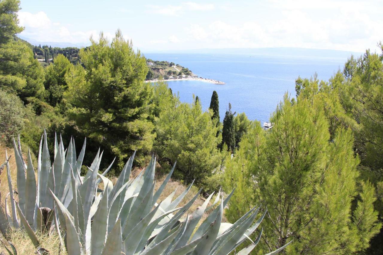 Beach Hotel Split Подстрана Екстериор снимка